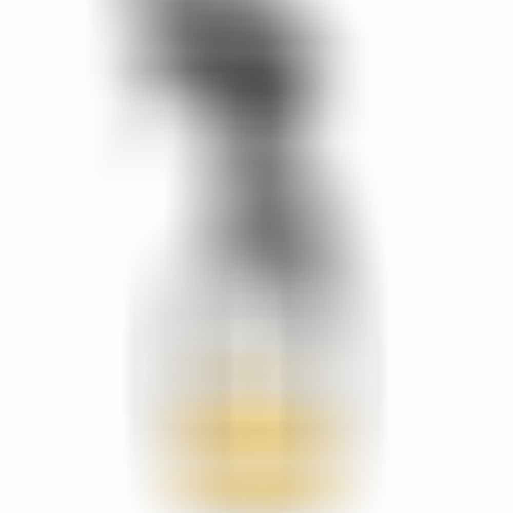 Absorbine – Silver Honey - Gel en vaporisateur pour réparation rapide des plaies – 8oz