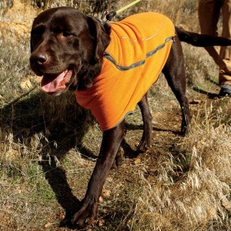 Ruffwear Manteau Climate Changer