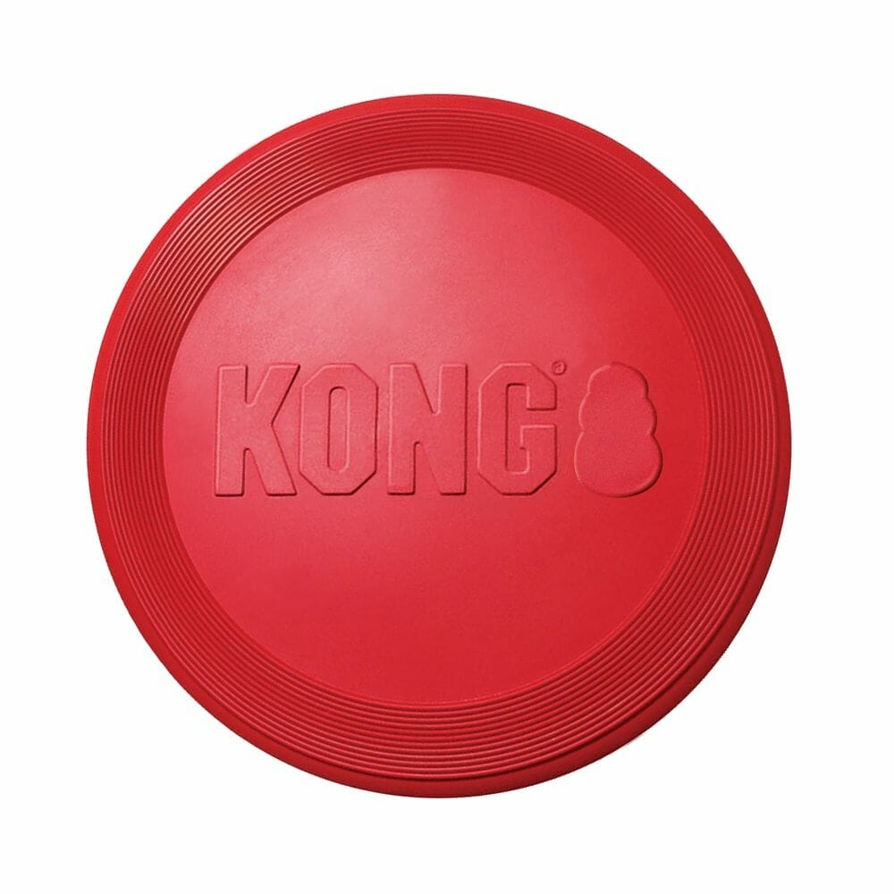 Kong - Classic Interactif - Chien – Boutique Animali
