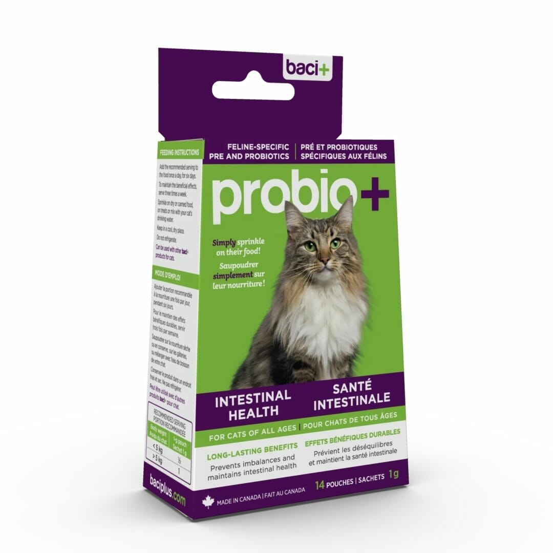 Baci + – Probio+ Pré et probiotiques – prévention et maintien pour chats