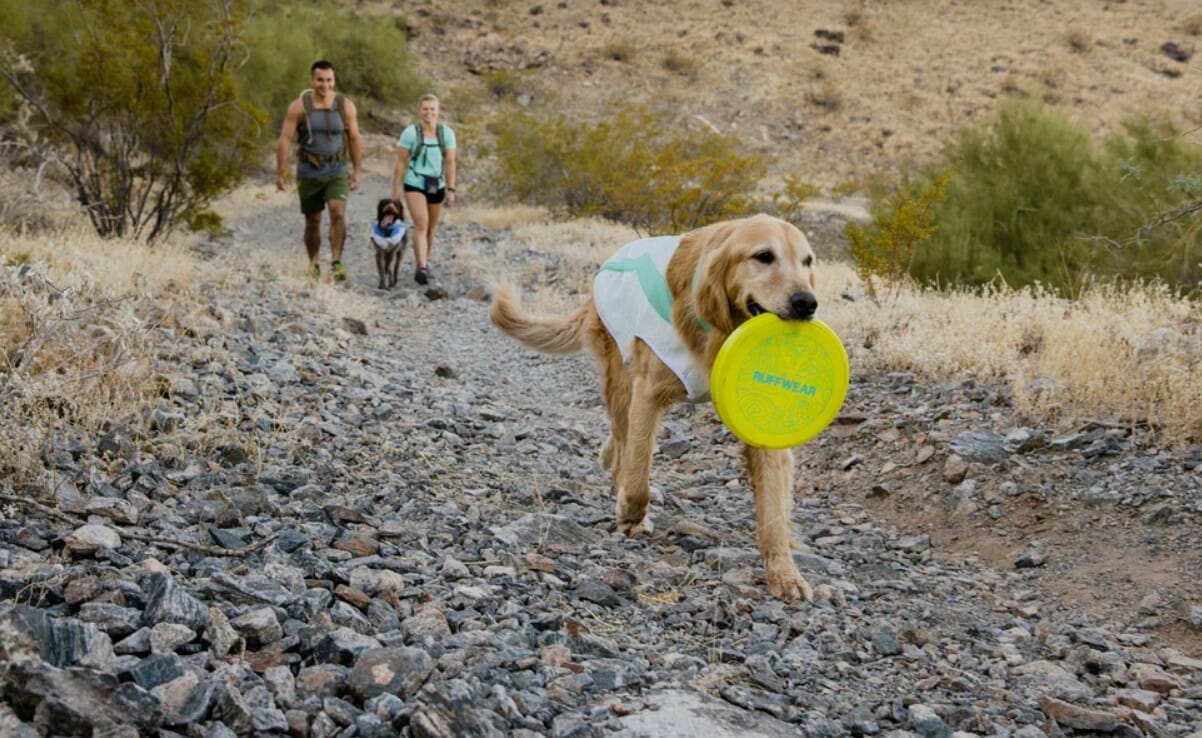 Ruffwear Camp Flyer L ger flexible La Belle B te