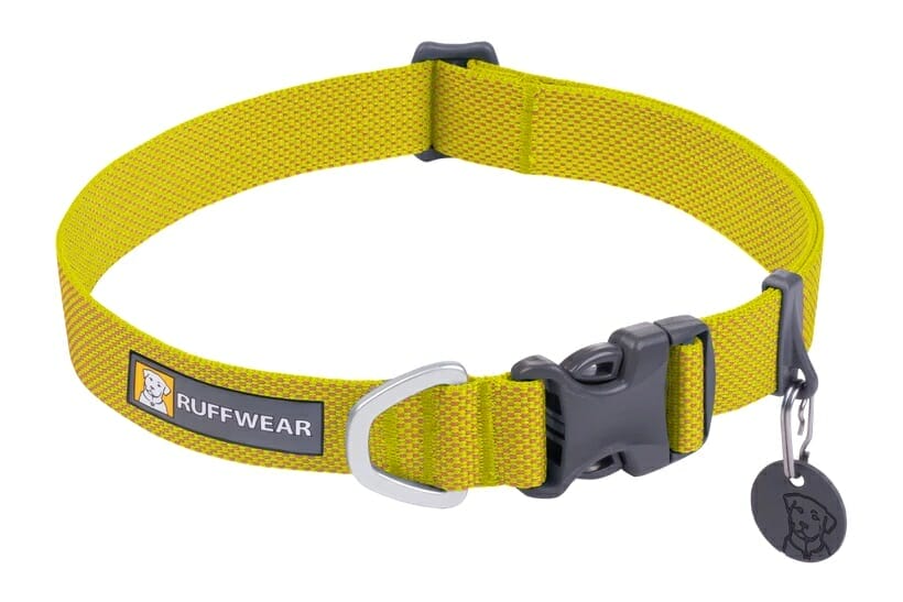 Lightweight sales dog collars