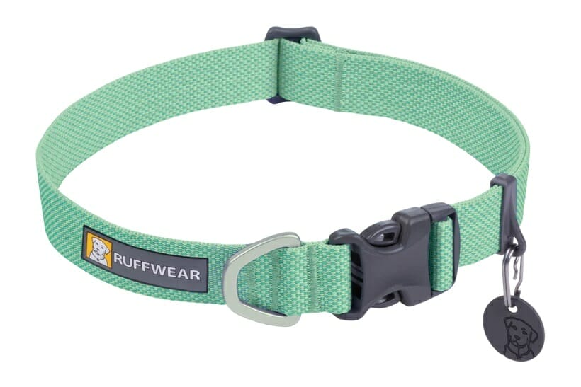 Natural light dog collar sale