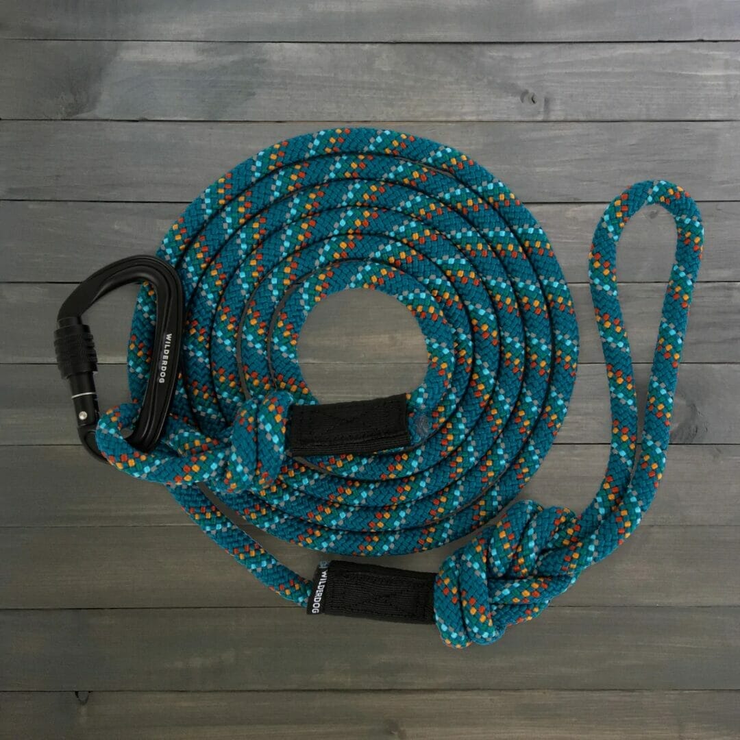 Wilderdog – Laisse en corde réfléchissante – Pacific Blue